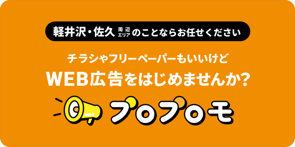 チラシやフリーペーパーじゃなくて WEB広告をはじめませんか？プロプロモ